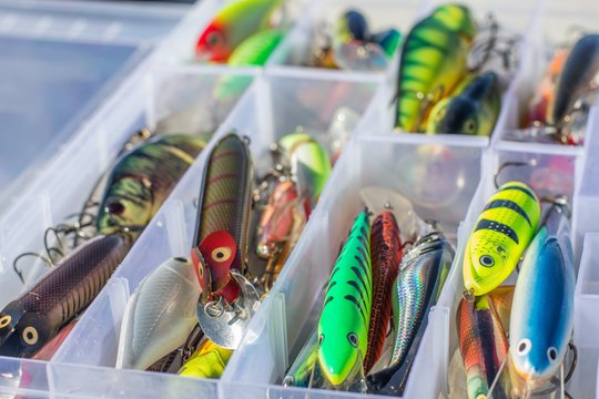 The Ultimate Guide to Finding the Best Deals on KP Reels for Sale and Buy Salmo 3.5 Lures