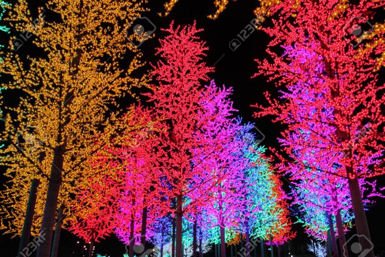 LED Trees & Solar String Lights for Home, Garden & Patio – Magic Leds