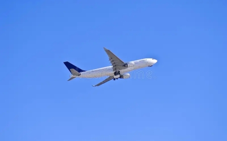 turkish airlines los angeles office​