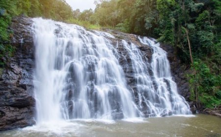 Abbey Falls Timings and Complete Travel Guide