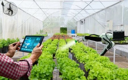Controlled Environment Agriculture Market Growth and Forecast Analysis