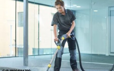 Why Carpet Cleaning Services Are Worth Every Penny
