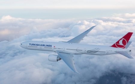 Everything You Need to Know About the Turkish Airlines Addis Ababa Office