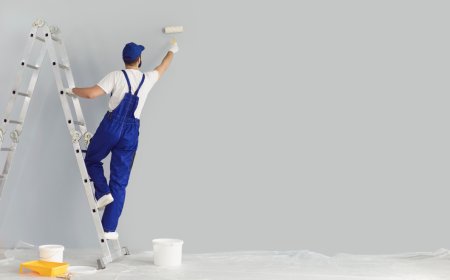 How to Find Affordable Yet Professional Painters in Miami