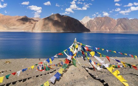 Top Places to Visit on Your Ladakh Tour