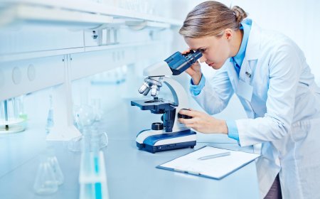 Clinical Laboratory Services Market to Witness Growth Owing to AI-Driven Diagnostics