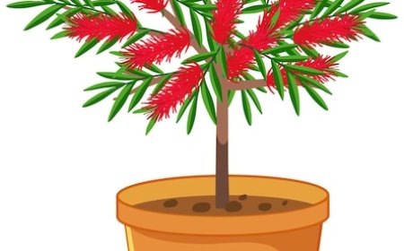 Whimsy and Warmth: Exploring the World of Stuffed Animals Kawaii and Plant Plushies