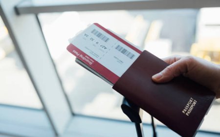 Trusted Partner Visa Consultants for a Smooth Australia Visa Journey