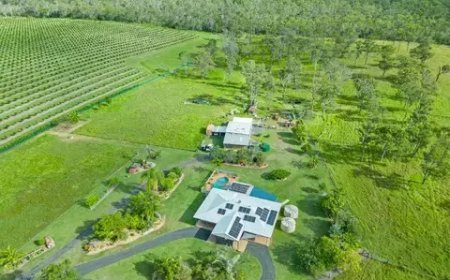 Exploring the Best Accommodation Options Bundaberg: A Guide for Home Seekers