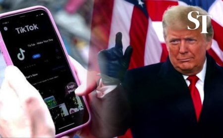 Descargar Videos de TikTok Gratis en HD