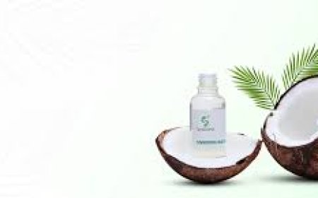 Leading Essential Oil Manufacturer for Pure Natural Extracts