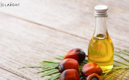 Latin America Palm Oil Market Outlook 2025-2034: Growth, Trends and Competitive Analysis