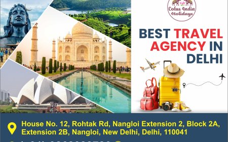 Discover the Best Travel Agency in Delhi – Journey with Lotus India Holidays