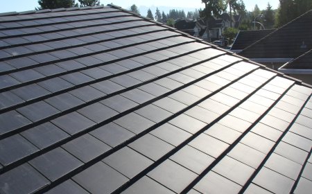 Solar Roof Market Growth and Future Dynamics