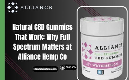 Natural CBD Gummies That Work: Why Full Spectrum Matters at Alliance Hemp Co