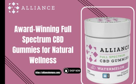 Award-Winning Full Spectrum CBD Gummies for Natural Wellness