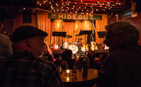 The Perfect Blend: Exploring the Allure of Live Music Venues and Cocktail Lounges