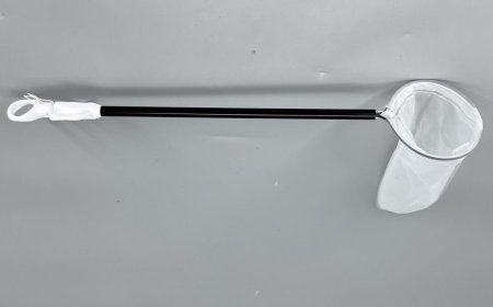 Minimally Invasive Surgery Specimen Retrieval Bags Revolutionizing Modern Surgical Procedures Worldwide