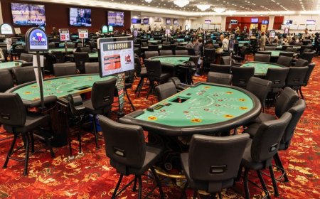 Why ReddyBook Is a Favorite Among Teen Patti & Poker Lovers