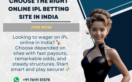 Best Cricket ID Provider for Instant Access and Real-Time Updates