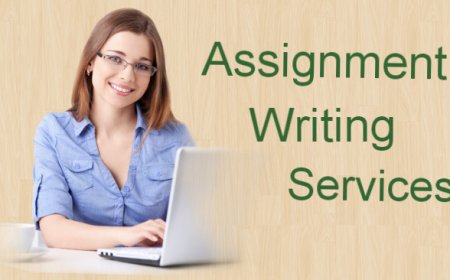 Professionals' Help In Assignments: Unlock Academic Succes