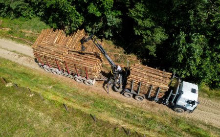 Complete Your Project Vision with Tailored FF&E Procurement