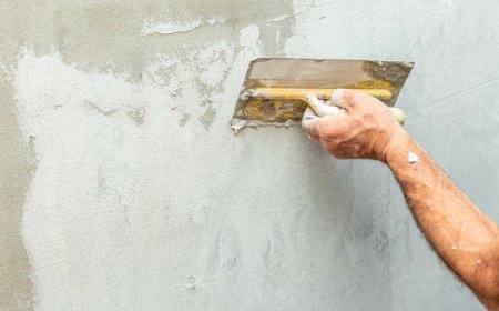 India Lime Plaster Market Growth and Analysis: Trends, Size, and Forecast