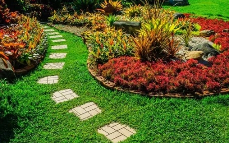 Landscaping in Manassas, VA: Building Outdoor Beauty That Lasts