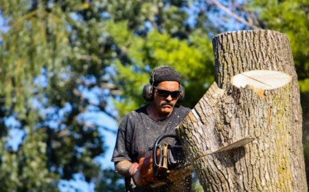 Tree Removal Decision Guide: When to Cut vs. Keep