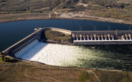 Fish Passage Portal: The Future of Upstream Migration?