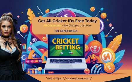 All Cricket ID Login Guide for 2025 – Fast & Simple Access