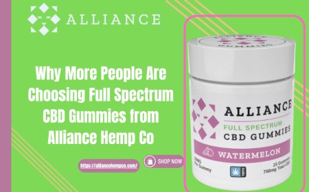 Why More People Are Choosing Full Spectrum CBD Gummies from Alliance Hemp Co