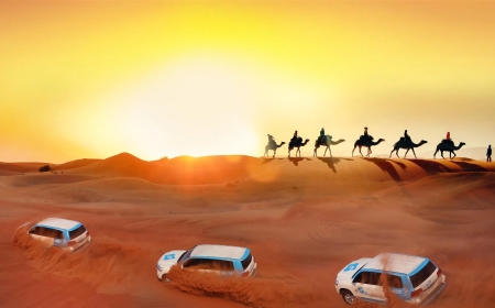 What Makes the Red Dune Desert Safari Dubai So Special?