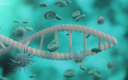 Microbiome Sequencing Service Market Size, Trends, and Strategic Outlook 2025-2032