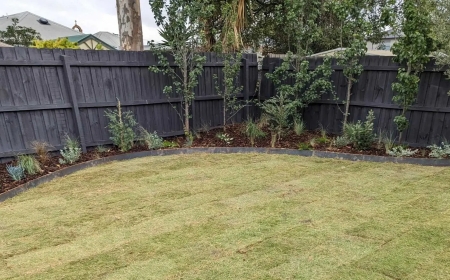 Transform Your Outdoor Space with Expert Landscaping in Melbourne's South East