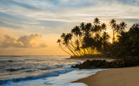 Sri Lanka Honeymoon Weather Guide: When to Go for the Perfect Escape