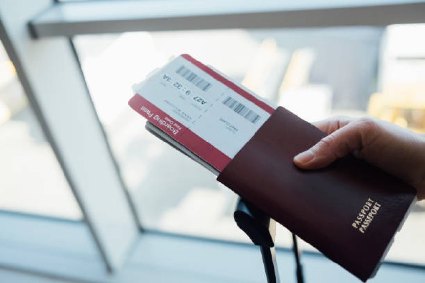 Trusted Partner Visa Consultants for a Smooth Australia Visa Journey