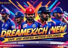 Dreamexch in New ID 2025: How to Get Started Instantly
