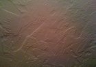 Transform Your Walls with Pull Trowel Texture: A Stylish and Durable Finish