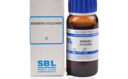 Berberis Vulgaris Q Uses in Hindi: Kidney Stone, Pimples Aur Liver Ke Liye Natural Remedy