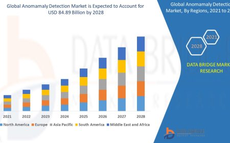 Anomamaly Detection Market: Key Trends and Future Growth Forecast to 2028