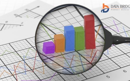 U.S. Outdoor Light-Emitting Diode (LED) Lighting Market Industry Analysis and Forecast By 2029
