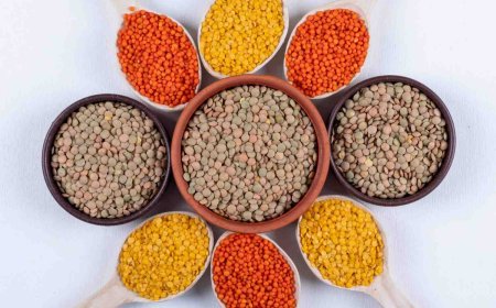 Buy Premium Pulses in India – Trusted Brands & Suppliers