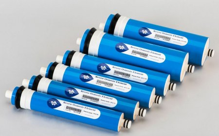 Global Reverse Osmosis Membrane Market Trends and Growth Forecast 2025-2032