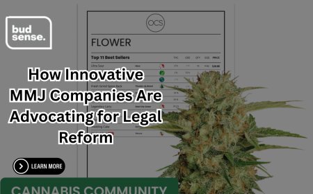 How Innovative MMJ Companies Are Advocating for Legal Reform