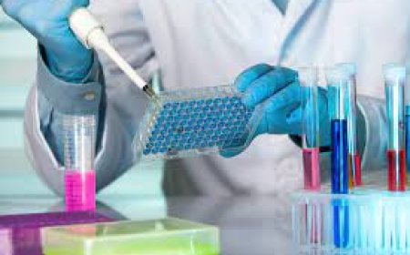 ELISA Assay in COVID-19 Testing: Role and Reliability