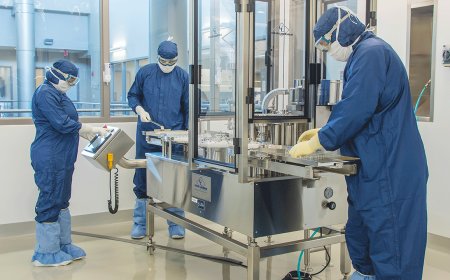 Cleanroom Consumables Market Size, Trends, and Strategic Insights 2025-2032