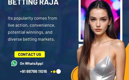 How Betting Raja integrates AI‑powered tips and personalized recommendations