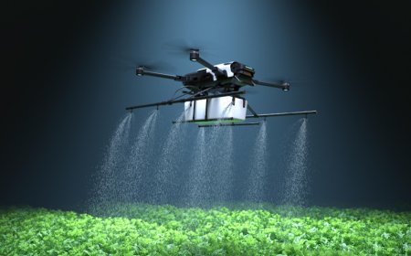 Smart Farming in the Karoo: Generative AI Applications in South African Agriculture