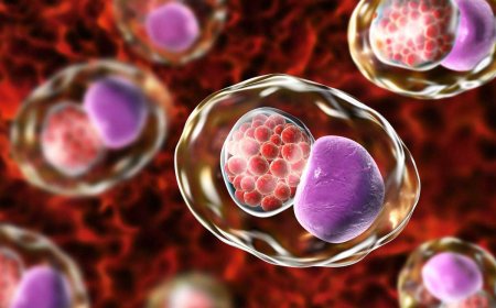 Chlamydia Infection Treatment Market: Size, Trends, and Growth Forecast 2025-2032